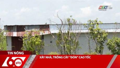 Xem Clip XÂY NHÀ, TRỒNG CÂY "ĐÓN" CAO TỐC HD Online.