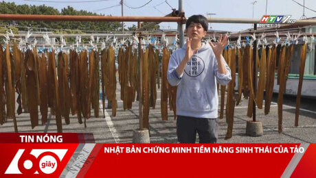 Xem Clip NHẬT BẢN CHỨNG MINH TIỀM NĂNG SINH THÁI CỦA TẢO HD Online.