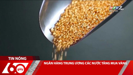 Xem Clip NGÂN HÀNG TRUNG ƯƠNG CÁC NƯỚC TĂNG MUA VÀNG HD Online.