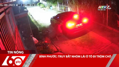 Xem Clip BÌNH PHƯỚC: TRUY BẮT NHÓM LÁI Ô TÔ ĐI TRỘM CHÓ HD Online.