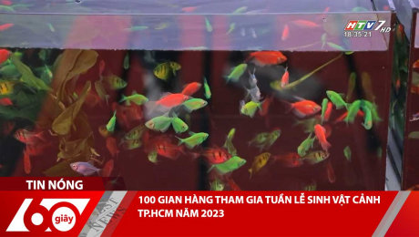 Xem Clip 100 GIAN HÀNG THAM GIA TUẦN LỄ SINH VẬT CẢNH TP.HCM NĂM 2023 HD Online.