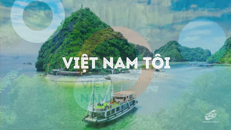 Việt Nam Tôi