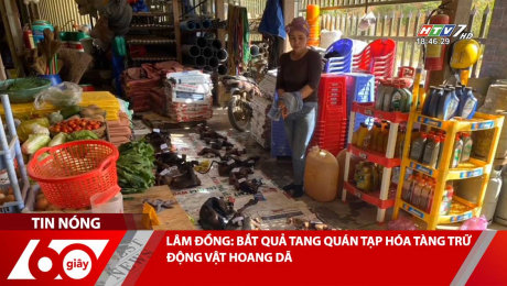 Xem Clip LÂM ĐỒNG: BẮT QUẢ TANG QUÁN TẠP HÓA TÀNG TRỮ ĐỘNG VẬT HOANG DÃ HD Online.