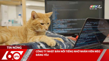 CÔNG TY NHẬT BẢN NỔI TIẾNG NHỜ NHÂN VIÊN MÈO ĐÁNG YÊU