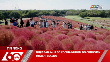 NHẬT BẢN: MÙA CỎ KOCHIA NHUỘM ĐỎ CÔNG VIÊN HITACHI SEASIDE