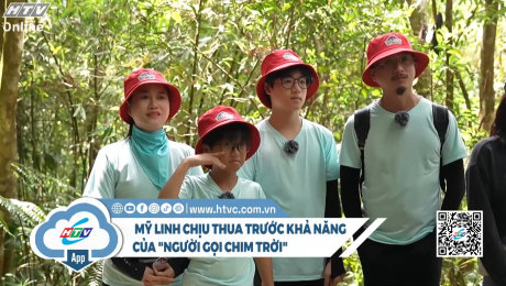 Mỹ Linh chịu thua trước "người gọi chim trời"