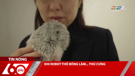 KHI ROBOT THỎ BÔNG LÀM... THÚ CƯNG