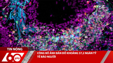 CÔNG BỐ ẢNH BẢN ĐỒ KHOẢNG 37,2 NGÀN TỶ TẾ BÀO NGƯỜI