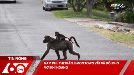 NAM PHI: THỊ TRẤN SIMON TOWN VẤT VẢ ĐỐI PHÓ VỚI KHỈ HOANG