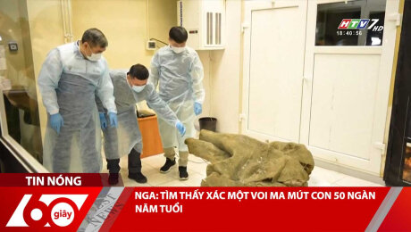 NGA: TÌM THẤY XÁC MỘT VOI MA MÚT CON 50 NGÀN NĂM TUỔI