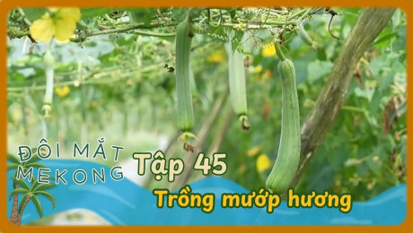 Xem Show TV SHOW Đôi Mắt Mê Kông HD Online.