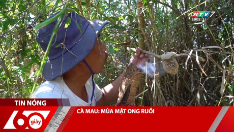 Xem Clip CÀ MAU: MÙA MẬT ONG RUỒI HD Online.