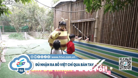 Tay ải tay ai, hóa tay bố Việt