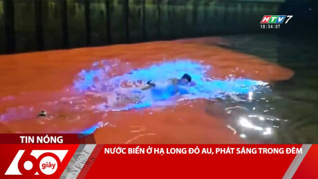 NƯỚC BIỂN Ở HẠ LONG ĐỎ AU, PHÁT SÁNG TRONG ĐÊM