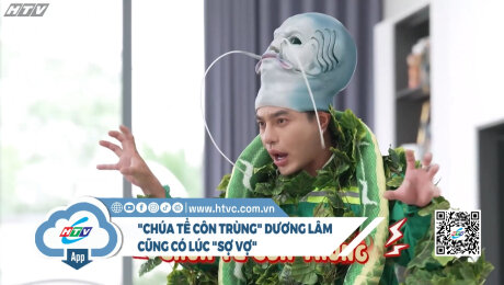 Chúa tể côn trùng Dương Lâm cũng có lúc sợ vợ