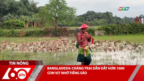Xem Clip BANGLADESH: CHÀNG TRAI DẪN DẮT HƠN 1000 CON VỊT NHỜ TIẾNG SÁO HD Online.