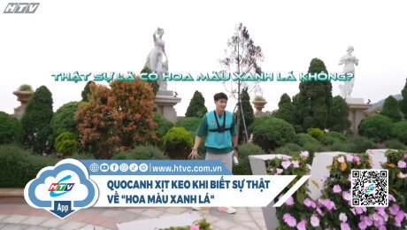 QuocAnh xịt keo khi biết sự thật về hoa màu xanh lá