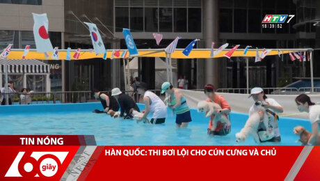Xem Clip HÀN QUỐC: THI BƠI LỘI CHO CÚN CƯNG VÀ CHỦ HD Online.