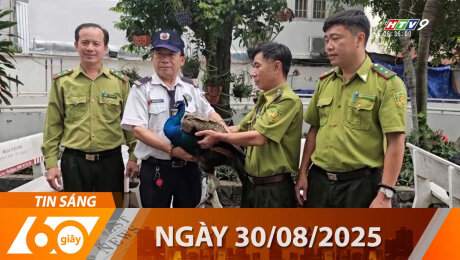 Xem Clip Bản Tin 60s 30/08/2025 HD Online.