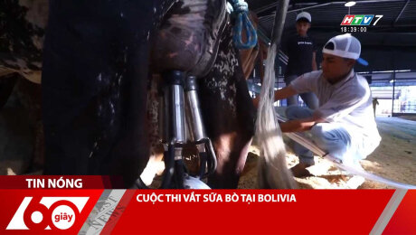 Xem Clip CUỘC THI VẮT SỮA BÒ TẠI BOLIVIA HD Online.
