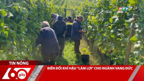 Xem Clip BIẾN ĐỔI KHÍ HẬU "LÀM LỢI" CHO NGÀNH VANG ĐỨC HD Online.