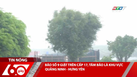 Xem Clip BÃO SỐ 9 GIẬT TRÊN CẤP 17, TÂM BÃO LÀ KHU VỰC QUẢNG NINH - HƯNG YÊN HD Online.