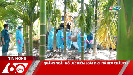 Xem Clip QUẢNG NGÃI: NỔ LỰC KIỂM SOÁT DỊCH TẢ HEO CHÂU PHI HD Online.
