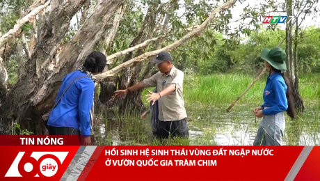 Xem Clip HỒI SINH HỆ SINH THÁI VÙNG ĐẤT NGẬP NƯỚC Ở VƯỜN QUỐC GIA TRÀM CHIM HD Online.