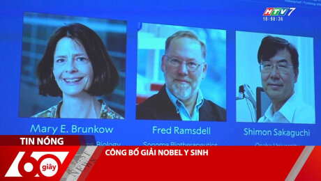 Xem Clip CÔNG BỐ GIẢI NOBEL Y SINH HD Online.