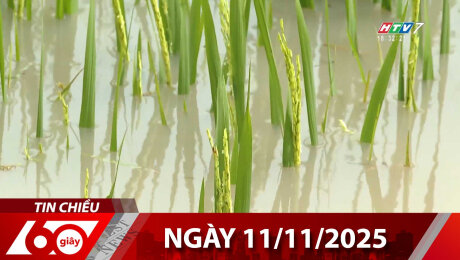 Bản Tin 60s 11/11/2025