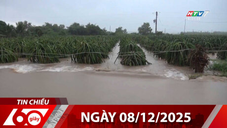 Bản Tin 60s 08/12/2025