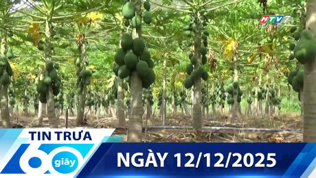Bản Tin 60s 12/12/2025