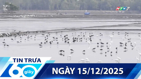 Bản Tin 60s 15/12/2025