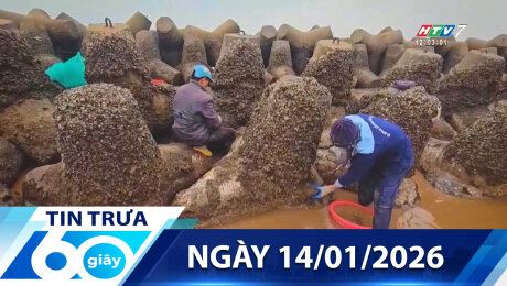 Bản Tin 60s 14/01/2026