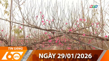 Bản Tin 60s 29/01/2026
