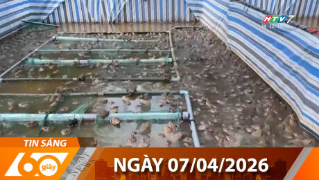 Bản Tin 60s 07/04/2026