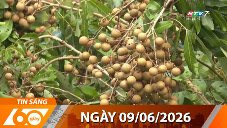 Bản Tin 60s 09/06/2026