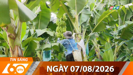 Bản Tin 60s 07/08/2026