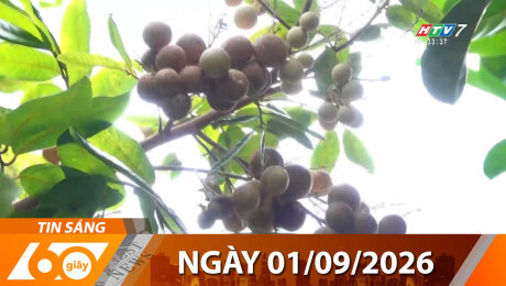 Bản Tin 60s 01/09/2026