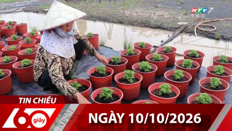 Bản Tin 60s 10/10/2026