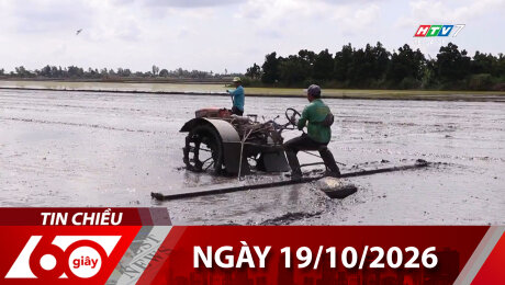 Bản Tin 60s 19/10/2026